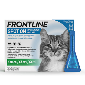 Frontline Spot on Katze