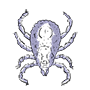 Tick icon